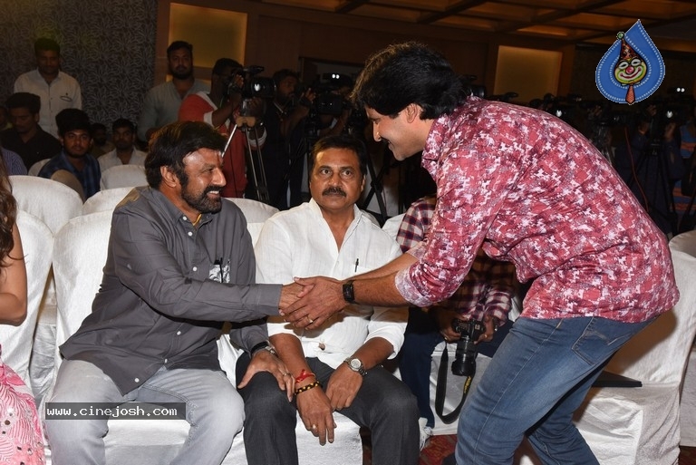Ruler Movie Success Meet - 25 / 42 photos