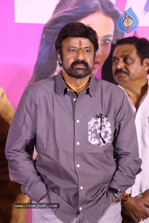 Ruler Movie Success Meet - 35 / 42 photos