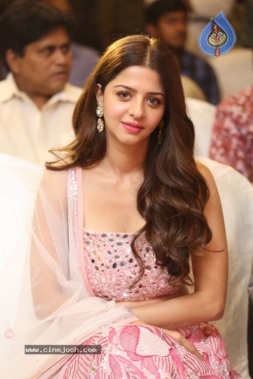 Ruler Movie Success Meet - 41 / 42 photos
