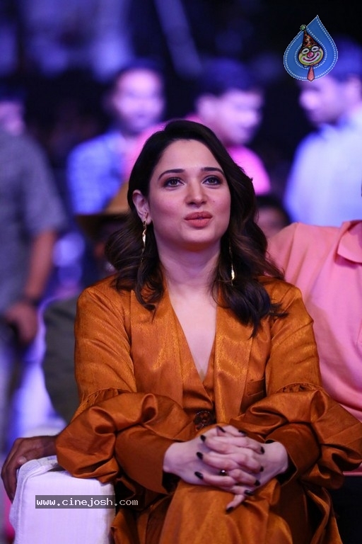 Sarileru Neekevvaru Pre Release Event 06 - 28 / 179 photos