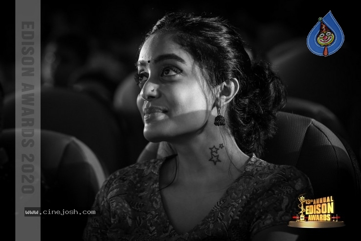 South Indian Cinema Awards - 14 / 44 photos