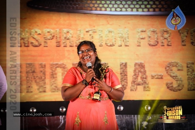 South Indian Cinema Awards - 25 / 44 photos