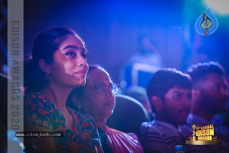 South Indian Cinema Awards - 33 / 44 photos