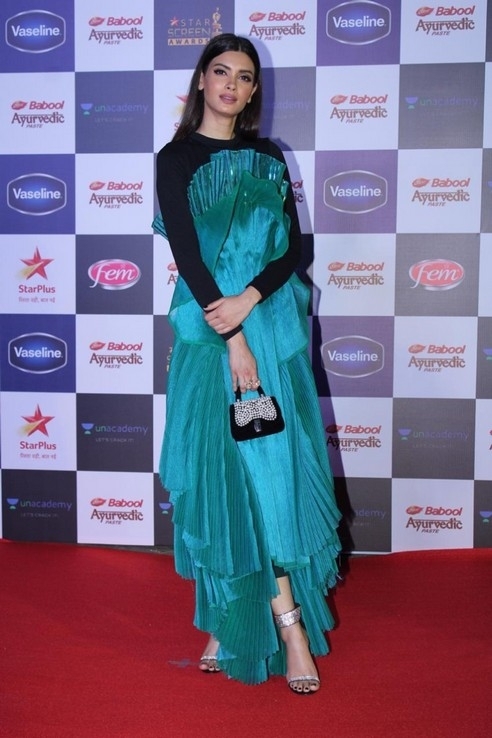 Star Screen Awards 2019 - 14 / 37 photos