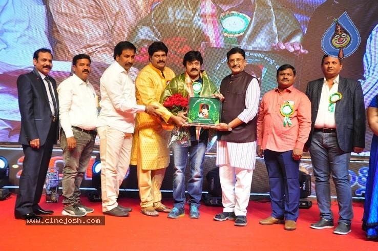 V B Entertainments Bullitera Awards 2019 Photos - 77 / 107 photos