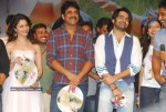 100% Love Movie Audio Launch - 17 of 160