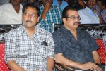 100% Love Movie Audio Launch - 96 of 160
