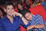 1 Nenokkadine Audio Launch 04 - 20 of 117