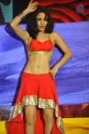 1 Nenokkadine Audio Launch 05 - 39 of 74