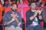1 Nenokkadine Audio Launch 05 - 57 of 74