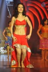 1 Nenokkadine Audio Launch 05 - 63 of 74