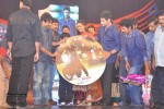 1 Nenokkadine Audio Launch 06 - 2 of 60