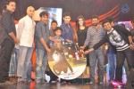 1 Nenokkadine Audio Launch 06 - 17 of 60