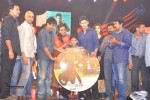 1 Nenokkadine Audio Launch 06 - 30 of 60