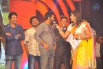 1 Nenokkadine Audio Launch 06 - 39 of 60