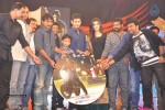 1 Nenokkadine Audio Launch 06 - 41 of 60