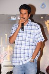 1 Nenokkadine Success Meet - 53 of 48