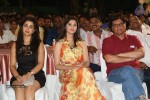 365 Days Movie Audio Launch - 16 of 187