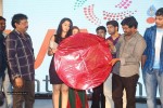 365 Days Movie Audio Launch - 115 of 187