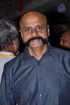 9th Chennai International Film Festival Day 1 - 31 of 55