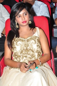 A Aa Audio Launch 4 - 38 of 42