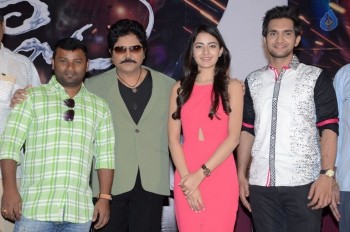 Aakatayi Movie Success Meet - 9 of 34