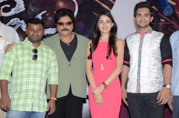 Aakatayi Movie Success Meet - 13 of 34