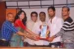 Abbai Class Ammai Mass Platinum Disc Function - 15 of 84