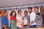 Abbai Class Ammai Mass Platinum Disc Function - 28 of 84