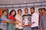 Abbai Class Ammai Mass Platinum Disc Function - 47 of 84