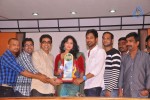 Abbai Class Ammai Mass Platinum Disc Function - 54 of 84