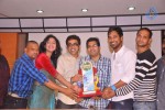 Abbai Class Ammai Mass Platinum Disc Function - 60 of 84