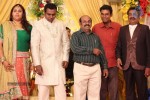 Actor Pandu Son Wedding Reception - 30 of 36