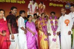 Actor Seeman Marriage Photos - 7 of 73