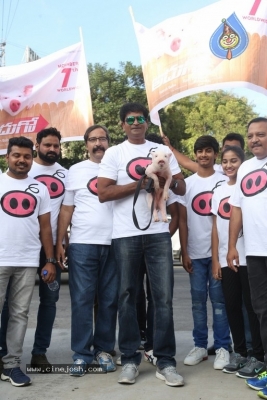 Adhugo Movie Team Padayatra With Piglet - 18 of 21