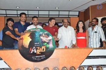 Affair Platinum Disc Function Photos - 17 of 30