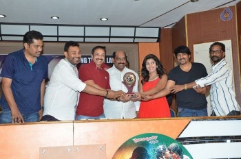 Affair Platinum Disc Function Photos - 21 of 30