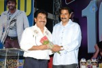 Aha Naa Pellanta Movie 100 Days Function - 63 of 144