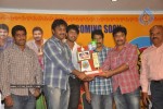 Aha Naa Pellanta Movie Platinum Disc Function - 6 of 45