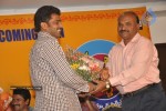 Aha Naa Pellanta Movie Platinum Disc Function - 16 of 45