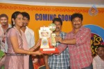 Aha Naa Pellanta Movie Platinum Disc Function - 18 of 45