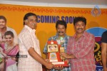 Aha Naa Pellanta Movie Platinum Disc Function - 30 of 45