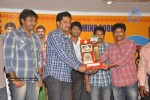 Aha Naa Pellanta Movie Platinum Disc Function - 31 of 45