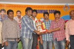 Aha Naa Pellanta Movie Platinum Disc Function - 33 of 45