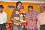 Aha Naa Pellanta Movie Platinum Disc Function - 34 of 45