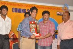 Aha Naa Pellanta Movie Platinum Disc Function - 44 of 45