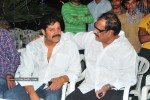 Aha Naa Pellanta Movie Success Meet - 39 of 91