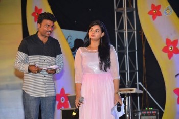 Akhil Platinum Disc Function 2 - 13 of 47