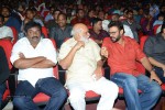 Akkineni Akhil Launch 02 - 60 of 144
