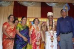 AL Alagappan 60th Wedding Anniversary Photos - 63 of 82